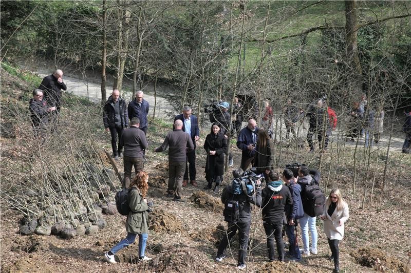 Sadnja 150 stabala hrasta lužnjaka i kitnjaka na Dubravkinom putu