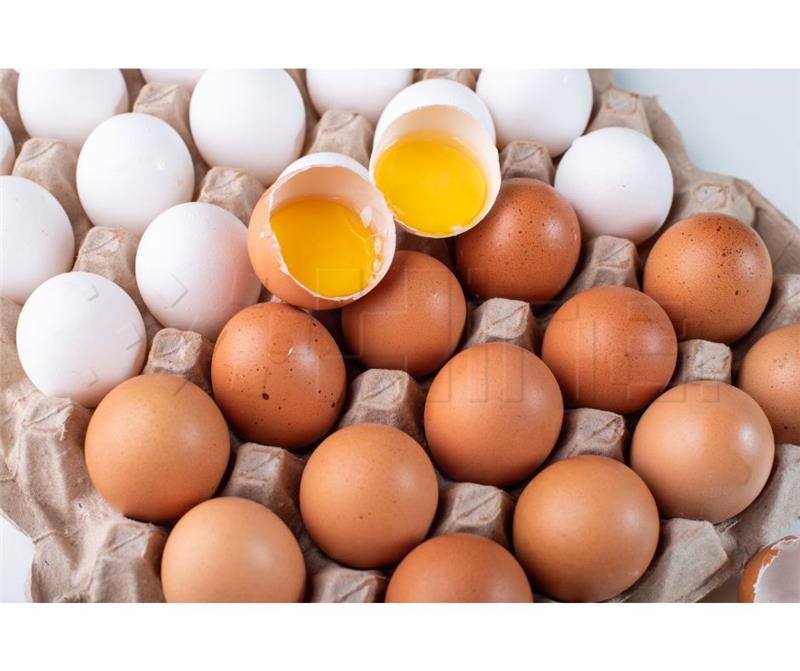 Egg, meat and fish prices up by as much as 30% compared to 2022, says daily