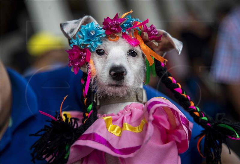 NICARAGUA RELIGION DOGS