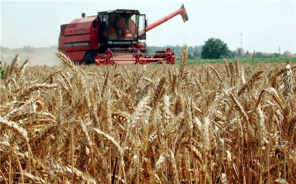 Croatia's agricultural production value in 2022 up 13.7 pct