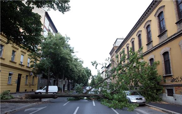 Zagreb: Vatrogasci intervenirali zbog pojačanog vjetra