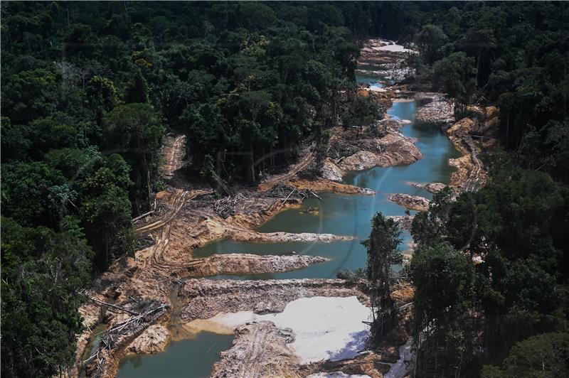 Deforestacija Amazonije veća za 14 posto u odnosu na prošlu godinu