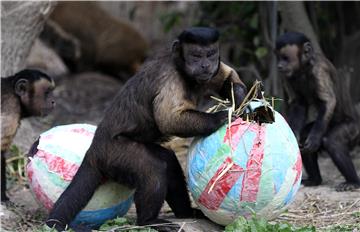 Na Uskrsni ponedjeljak stanovnicima ZOO-a darovane pisanice