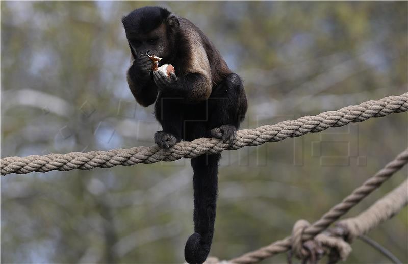 Na Uskrsni ponedjeljak stanovnicima ZOO-a darovane pisanice