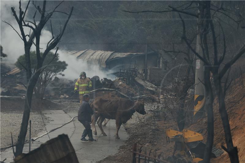 SOUTH KOREA FIRE