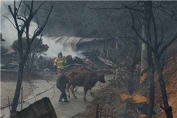 SOUTH KOREA FIRE