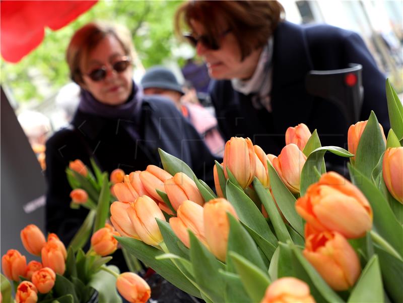 World Parkinson's Disease Day observed in Croatia where 16,500 are diagnosed with it