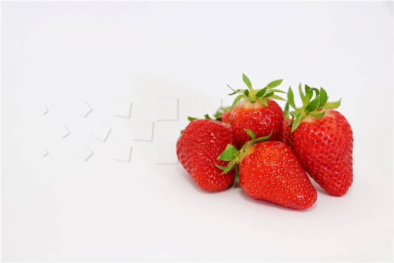 Harvest of strawberries starts in Vrgorac,  purchase price is €‎4 per kg