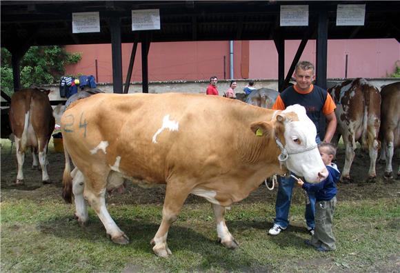 Turkey opens its market for import of cattle from Croatia