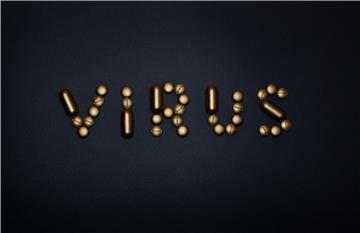 Virus