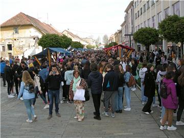 U Sisku održan Festival srednjih škola