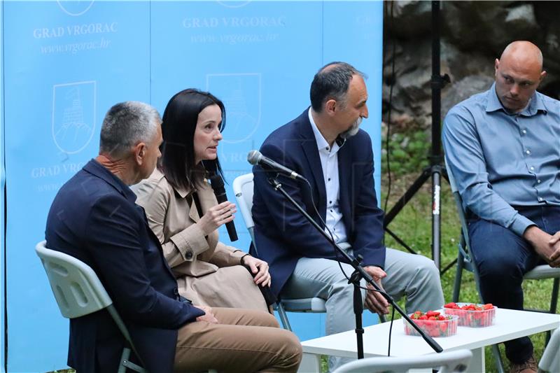 Održana gastro manifestacija Dan vrgoračkih jagoda