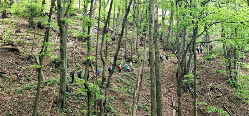 Zaživio Camino Banovina, hodočasnici oduševljeni Banovinom