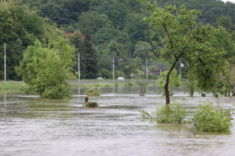 River embarkment near Sisak breached, therapy horses saved