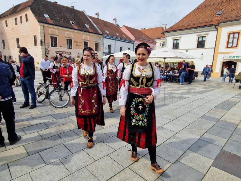 World Day for Cultural Diversity, Ethnic Minorities Day marked in Varaždin 