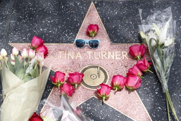 USA TINA TURNER TRIBUTES