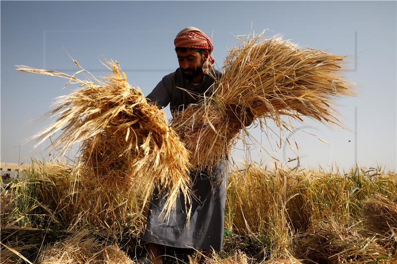 Cijene hrane u svibnju na najnižoj raziniu u dvije godine - FAO