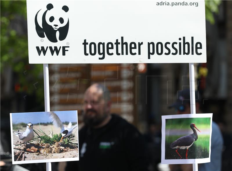 WWF Adria: Zaostali ribolovni alat ugrožava morske organizme
