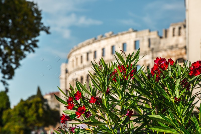 Pula: Nagrada Adriatic Adaptation Award za prilagodbu klimatskim promjenama