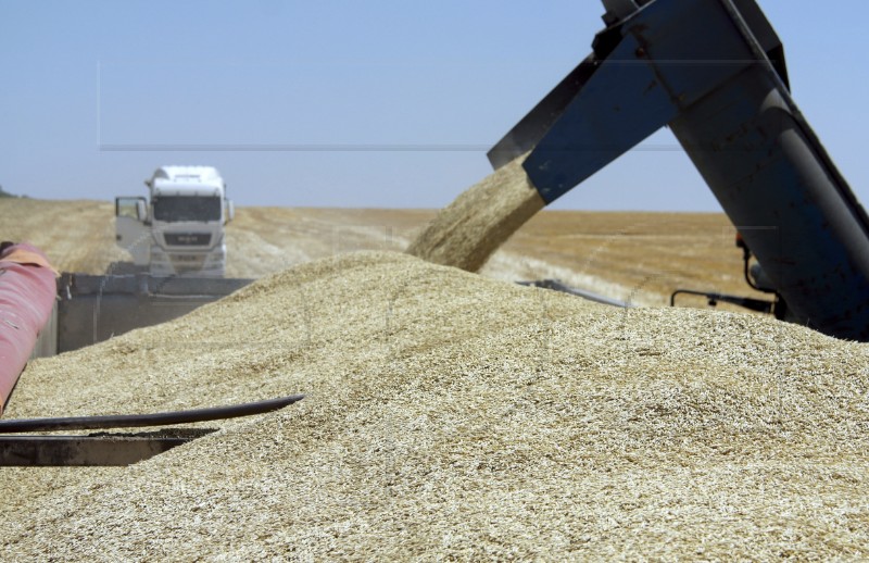 UKRAINE RUSSIA CONFLICT HARVEST