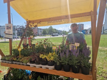 U Karlovcu održan stručni skup o knjižničarstvu, održivom razvoju i turizmu