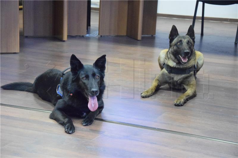 Dog handlers and trainers from 15 countries attend training at Police Academy