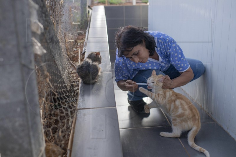 MOROCCO CAT SHELTER