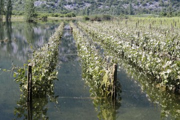 Proglašena prirodna nepogoda na području Vrgorca