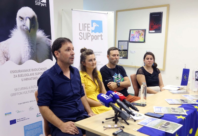 LIFE SUPport project for protection of griffon vulture presented