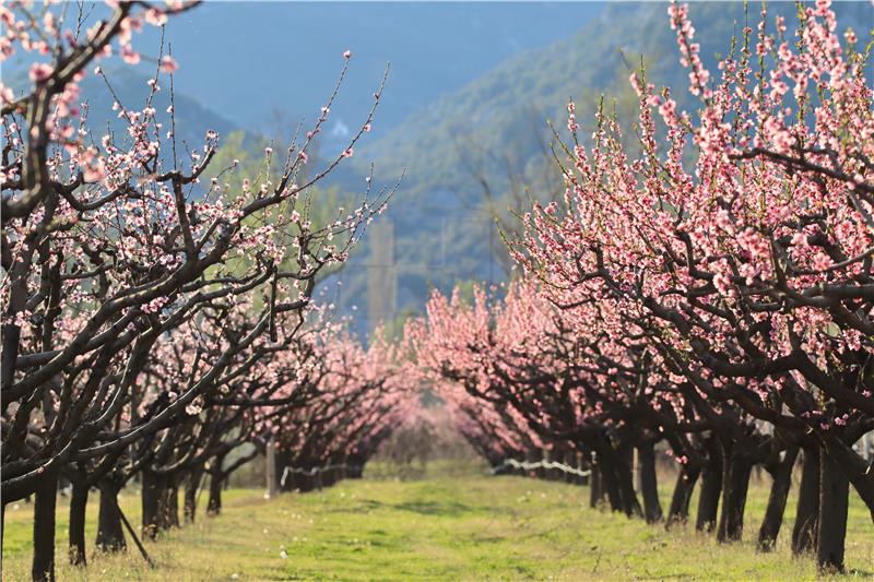 EC adopts regulation enabling fiinancial aid of €3.37 m to Croatia's farm sector