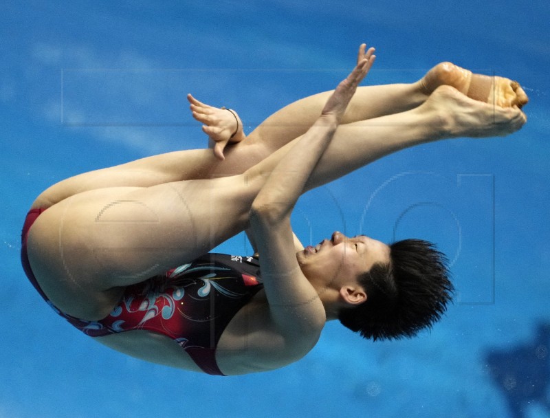 JAPAN WORLD AQUATICS