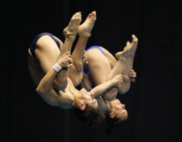 JAPAN WORLD AQUATICS