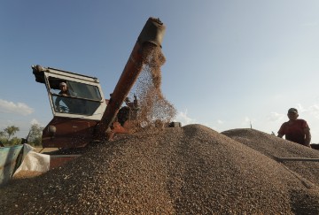 UKRAINE RUSSIA CONFLICT HARVEST