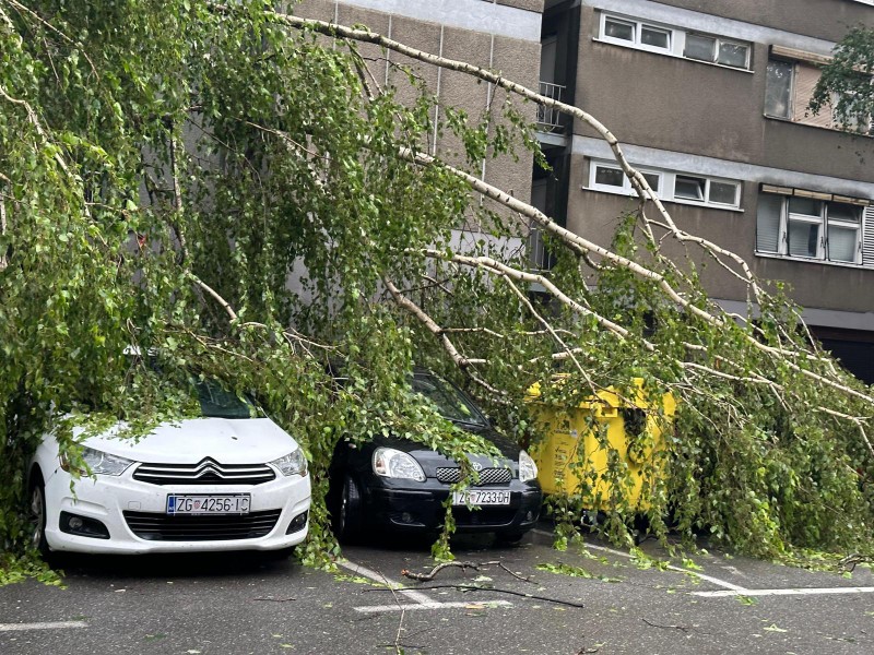 Jako nevrijeme u Zagrebu, padala stabla