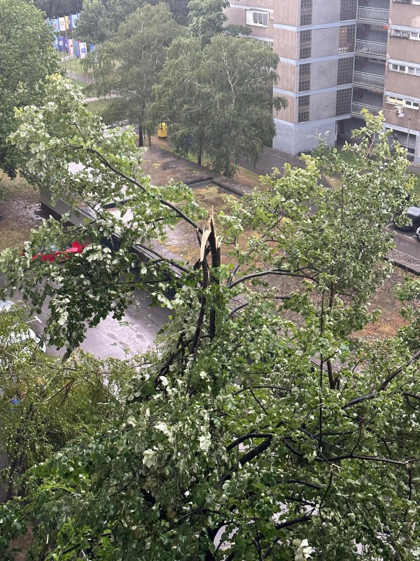 Olujno nevrijeme u Zagrebu - Miramarska