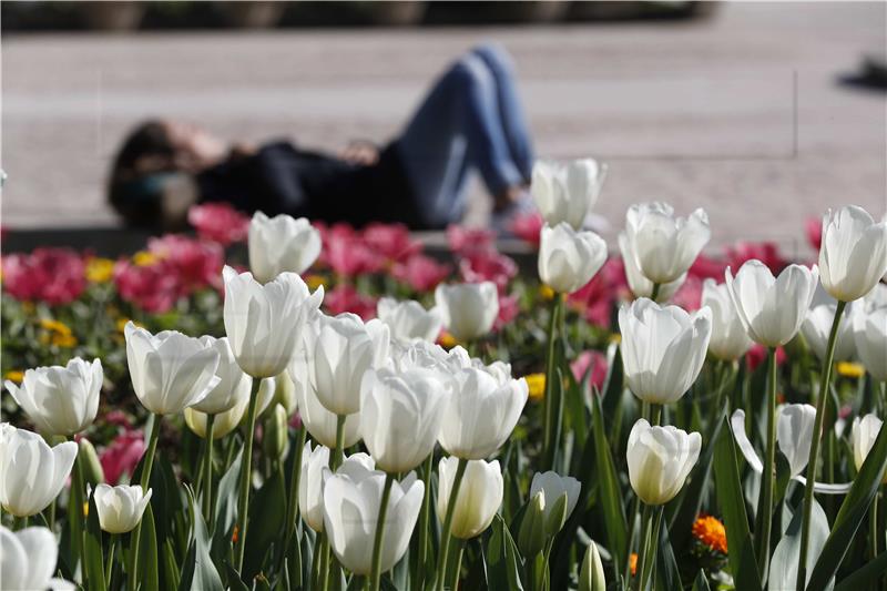 Njemačka podijeljena oko prijedloga uvođenja "sieste"