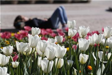 Njemačka podijeljena oko prijedloga uvođenja "sieste"