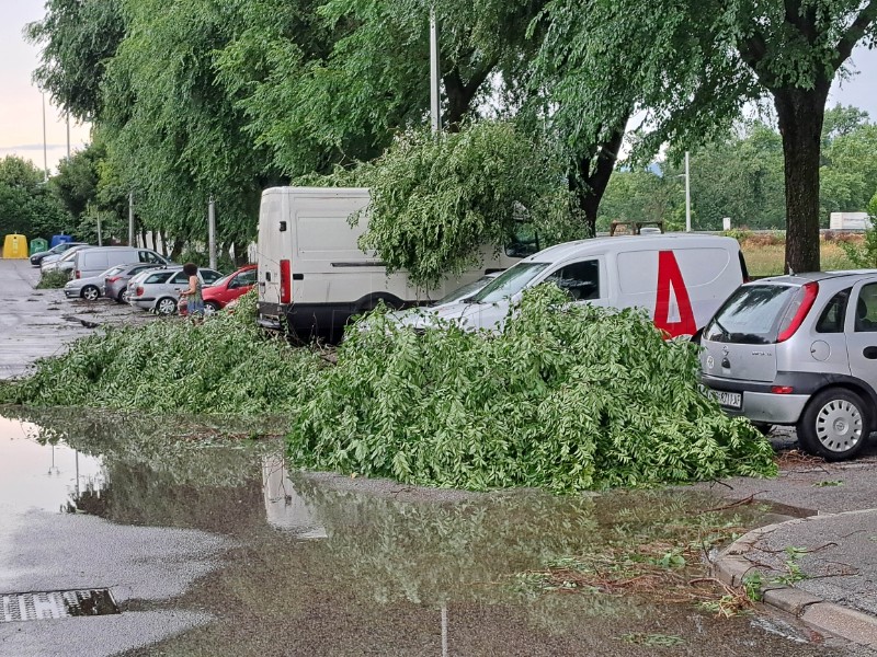 Olujno nevrijeme u Zagrebu - Lanište