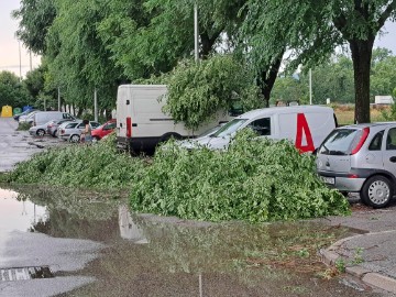 Olujno nevrijeme u Zagrebu - Lanište