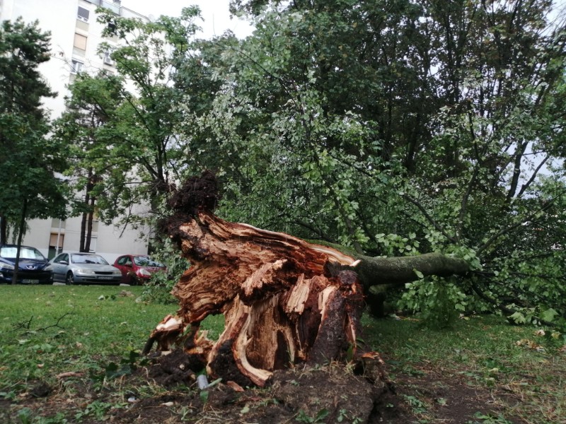 Posljedice olujnog nevremena u Zagrebu