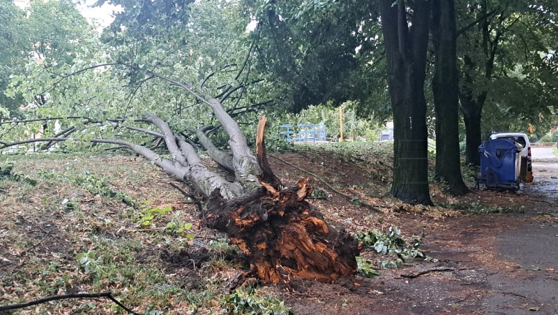 Posljedice olujnog nevremena u Zagrebu - Fallerovo šetalište