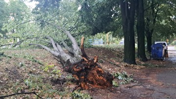 Posljedice olujnog nevremena u Zagrebu - Fallerovo šetalište