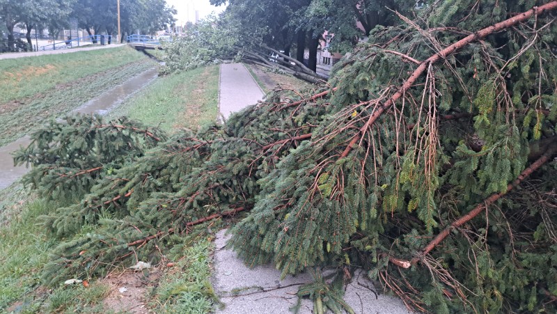 Posljedice olujnog nevremena u Zagrebu - Fallerovo šetalište