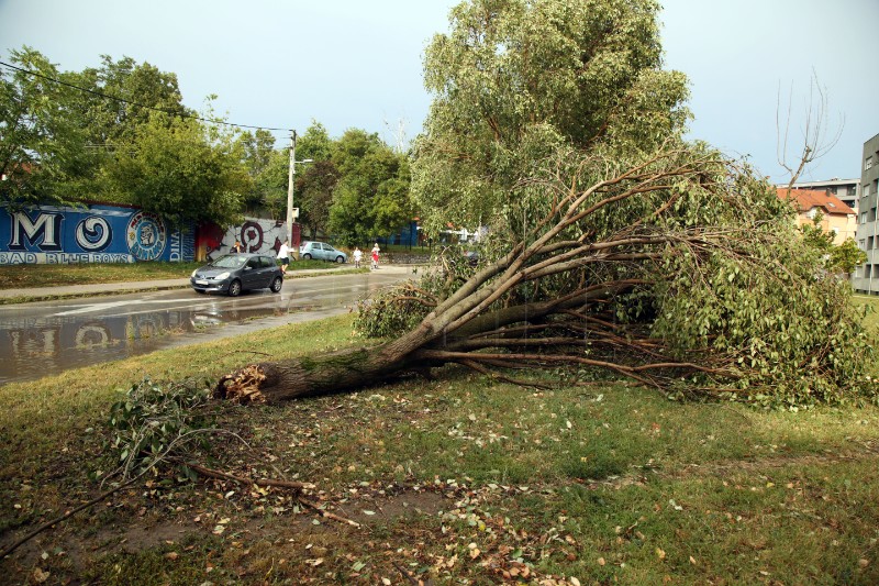 Novo nevrijeme u Zagrebu ponovno rušilo stabla