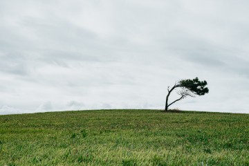 Klimatske promjene