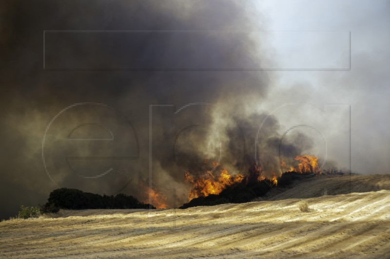 GREECE WILDFIRES