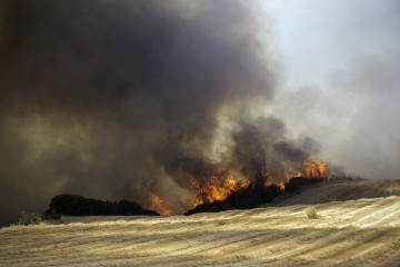 Pijani vozač izazvao požar na grčkom otoku Hiosu