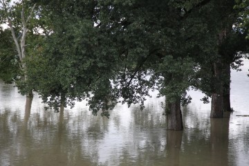 Sava kod Zagreba, nakon nevremena u Sloveniji izlila se iz korita 