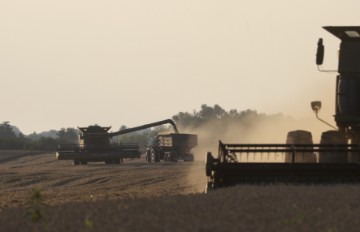 UKRAINE AGRICULTURE