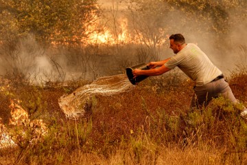 PORTUGAL FOREST FIRE ODEMIRA